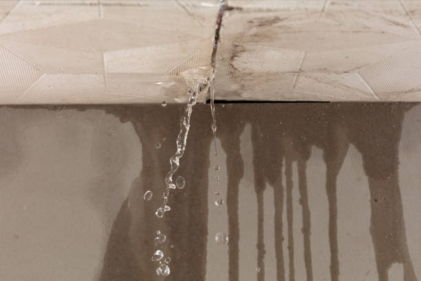 Professional Burst Pipe Cleanup technician working in Brookline, MO